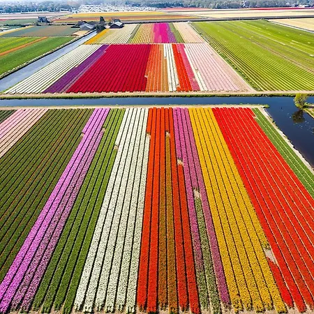 Lakehouses Luxe Family House 6 Pers Prázdninový dům *