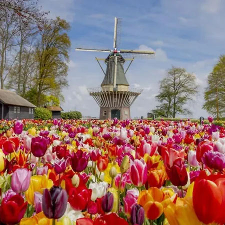 Prázdninový dům Lakehouses Luxe Family House 6 Pers *