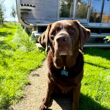 Prázdninový dům Lakehouses Luxe Family House 6 Pers Oud Ade