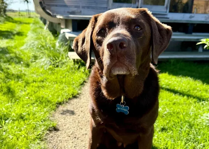 Hébergement de vacances Lakehouses Luxe Family House 6 Pers Oud Ade